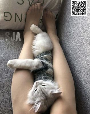 阿娇与冠希13分钟无删减视频在线_国产剧全集在线观看