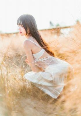 秦岭神树_国产剧电影在线观看