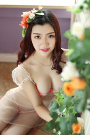 电视剧暗算全集免费观看_DVD手机在线看