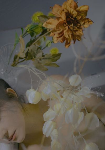 爽毛片_高清高清视频播放